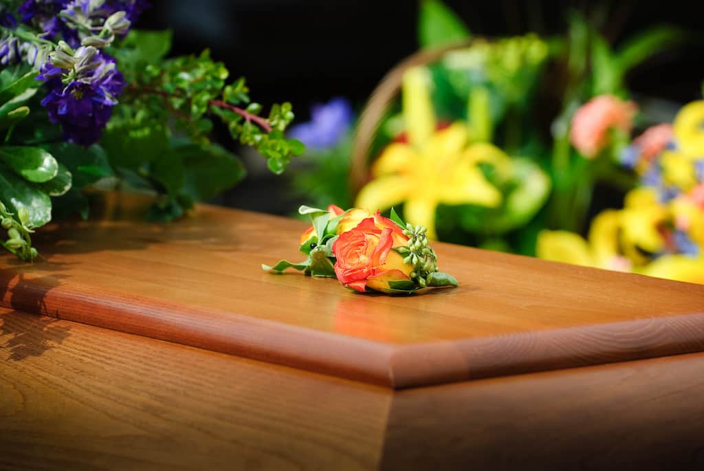 Ce sunt serviciile funerare si de ce este recomandat sa apelezi la ele?