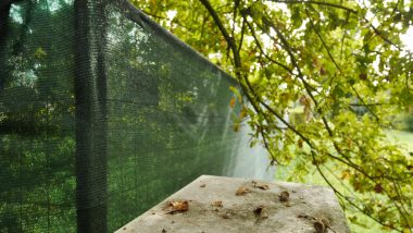 Plasa de umbrire este utilă pentru protejarea pomilor fructiferi?